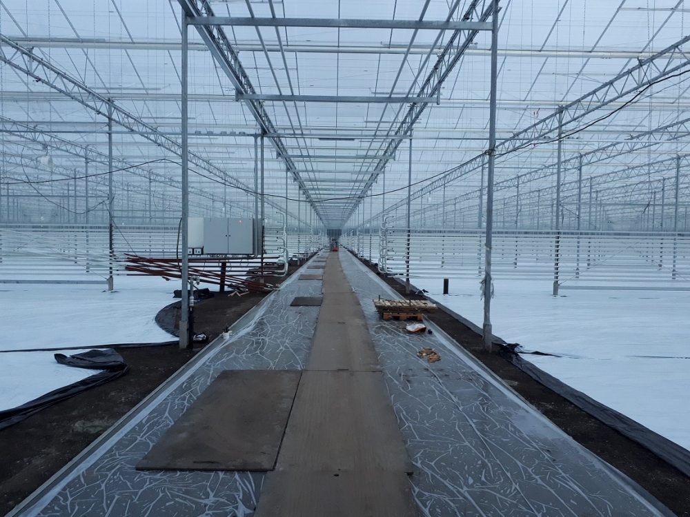 komkommerkwekerij Betonpad