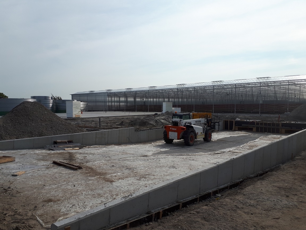 komkommerkwekerij Laaddock