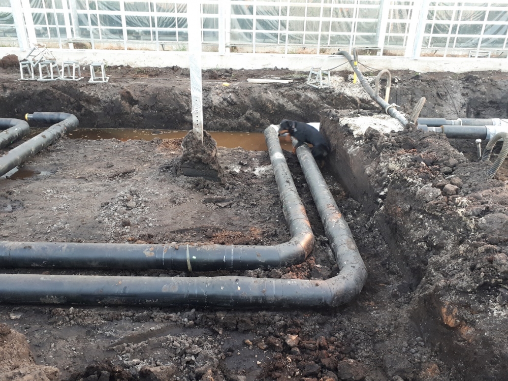 komkommerkwekerij Leidingwerk 23-6-20