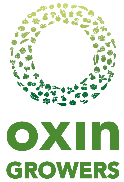 komkommerkwekerij OXIN-logo