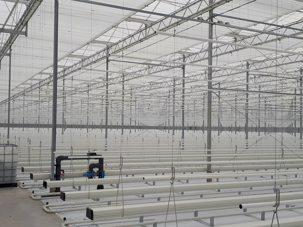 komkommerkwekerij Scherm