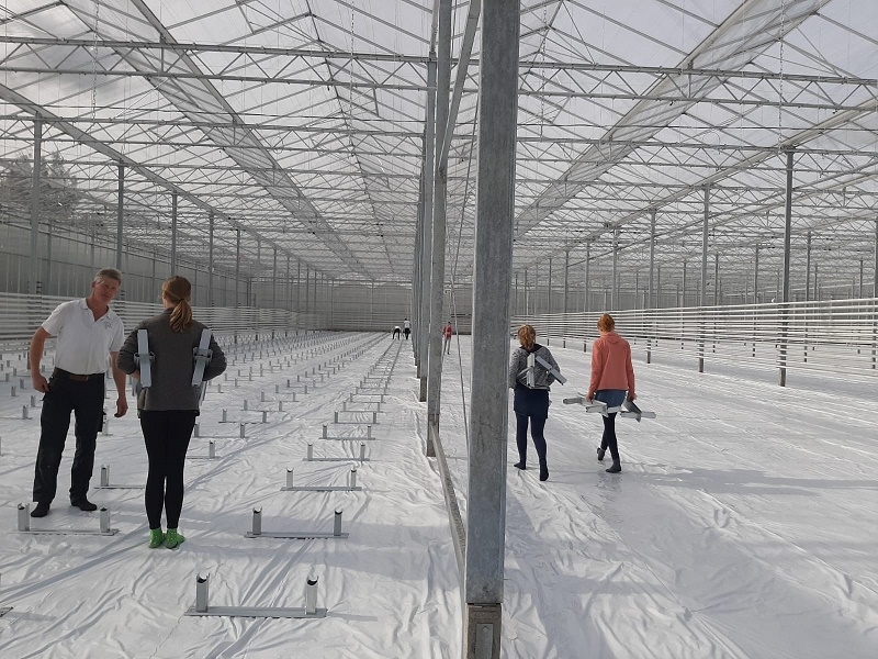 komkommerkwekerij Steunen leggen