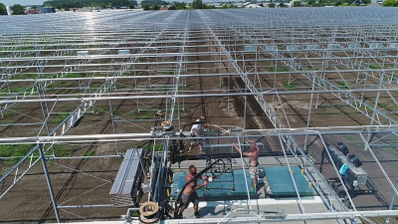 komkommerkwekerij beglazing